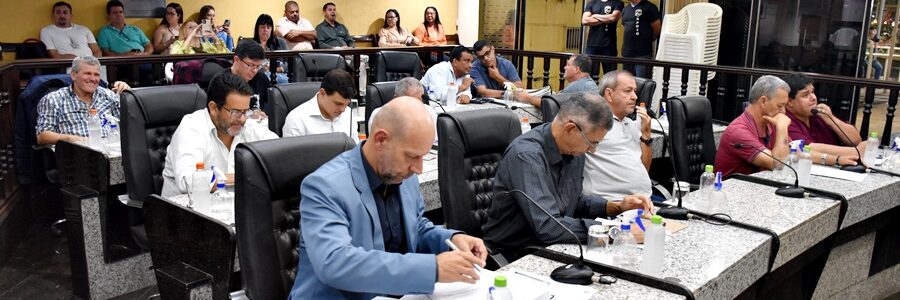 Muriaé Avança na Inclusão: Criação da Comissão Permanente dos Direitos das Pessoas com Deficiência é Aprovada